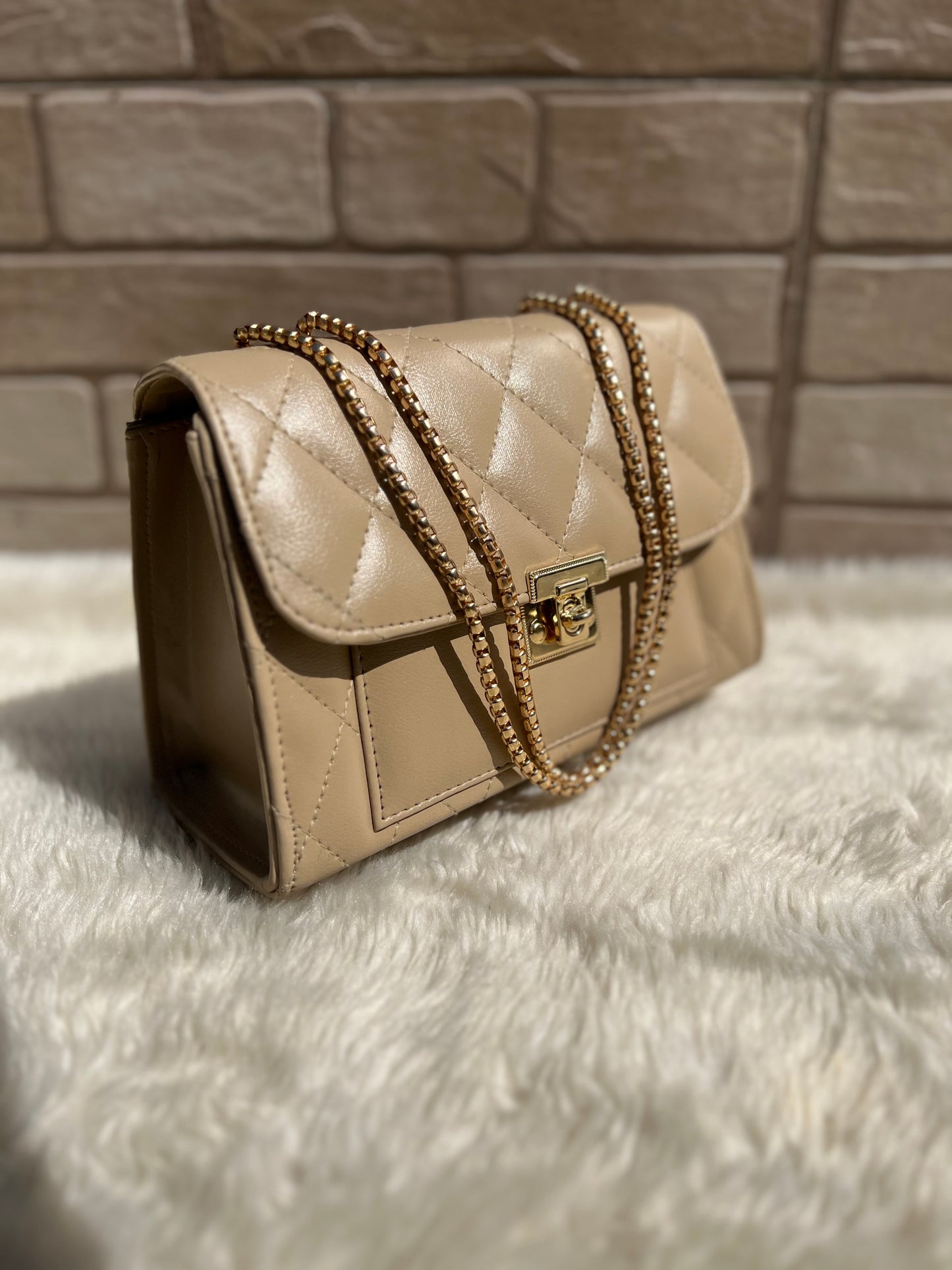 Cross body bag with golden chain.