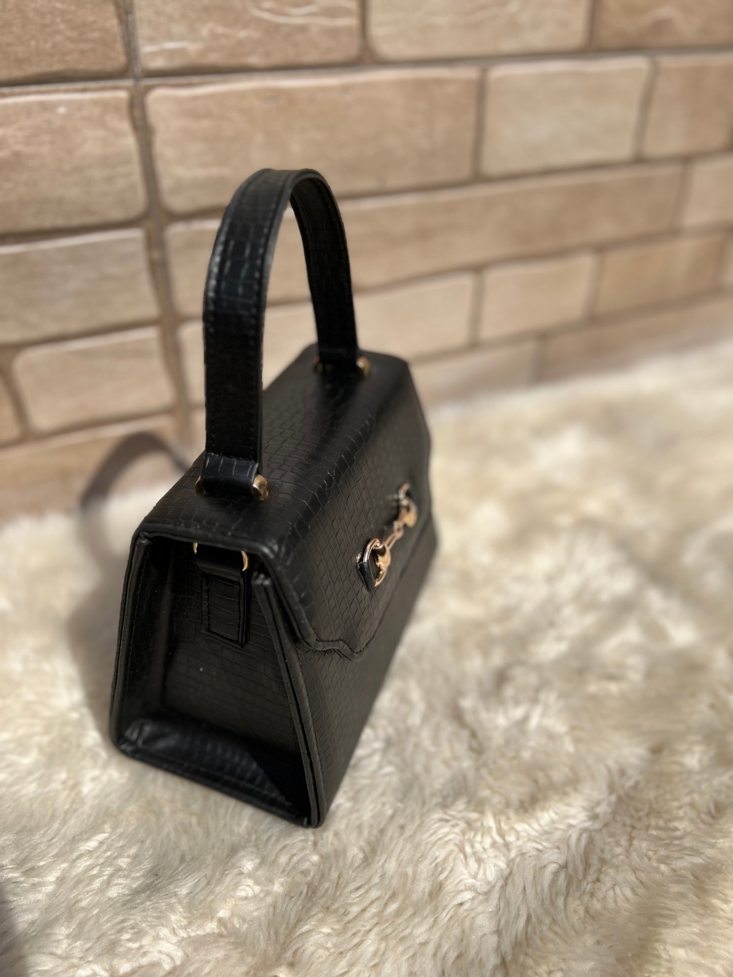 Versatile Amphibian Mini Bag “black color’’